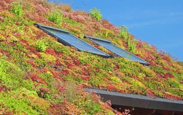 Napton On The Hill living roof systems